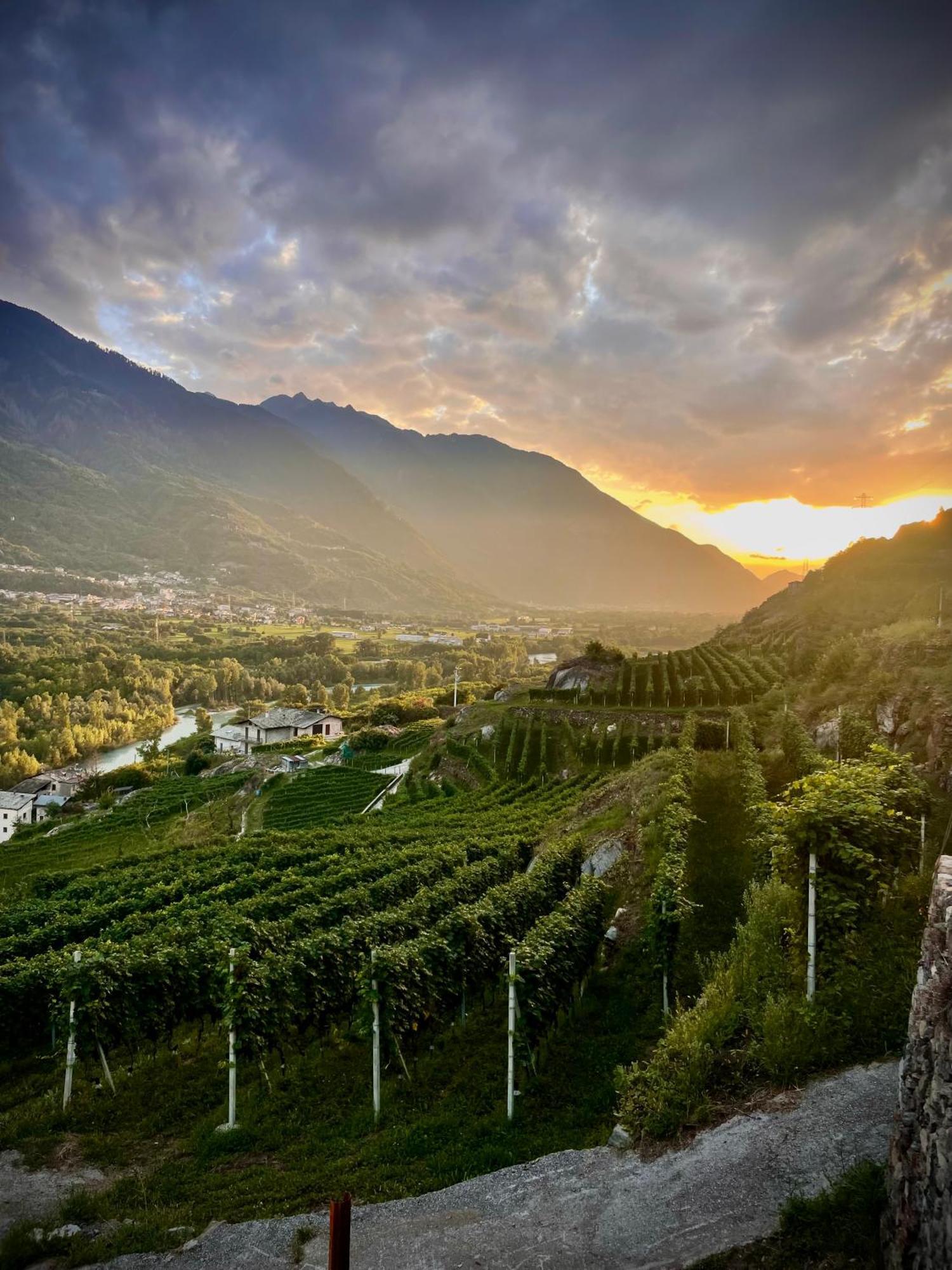 Ca' Barroni Agriresort Сондрио Екстериор снимка